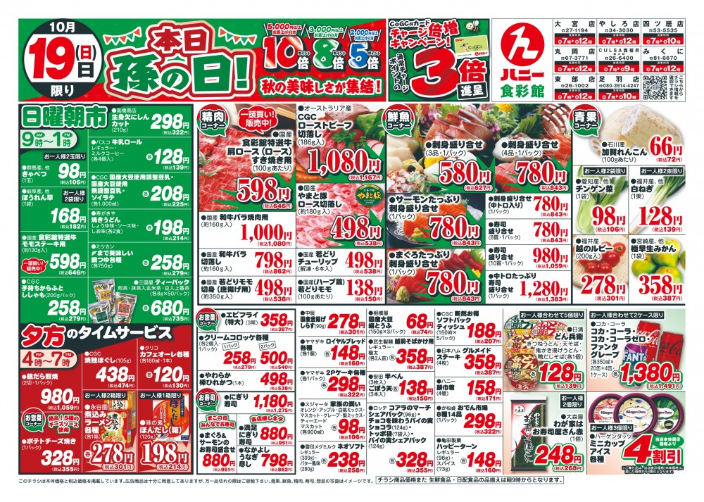 今日のチラシ