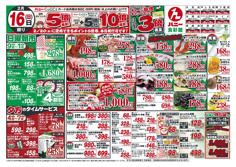 今日のチラシ