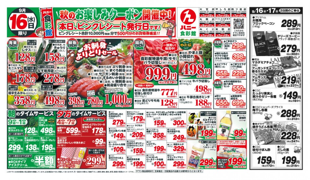 今日のチラシ