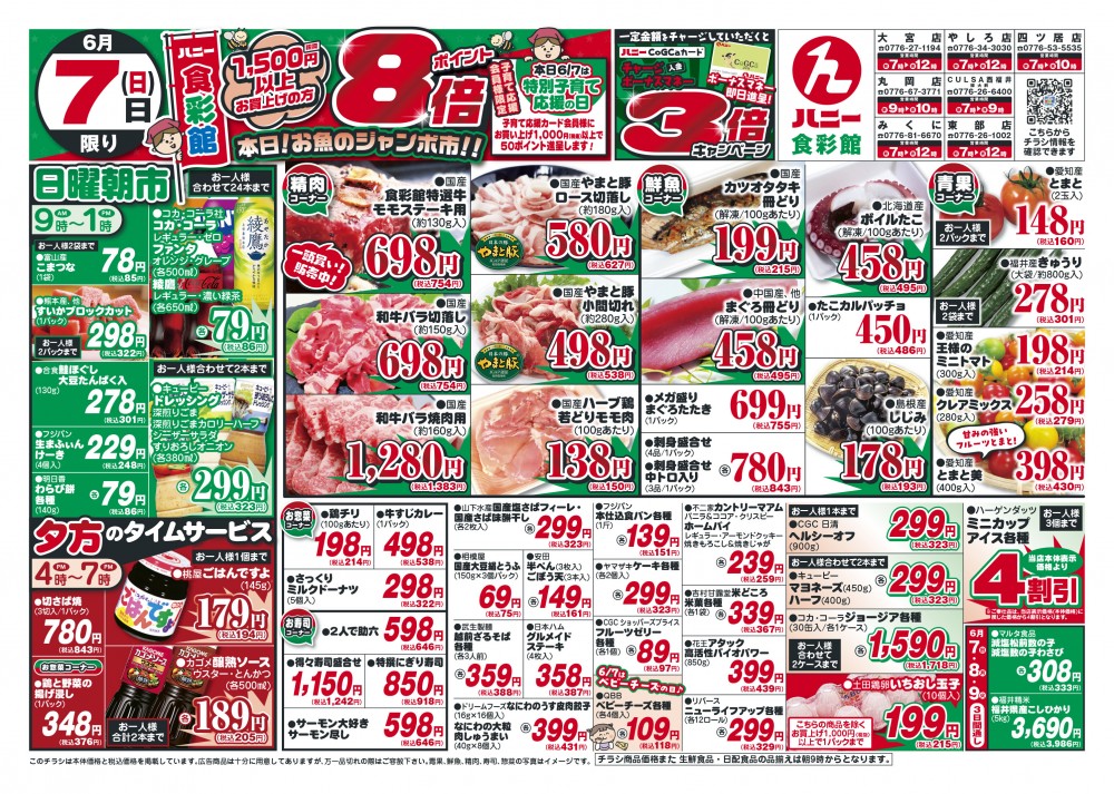 今日のチラシ
